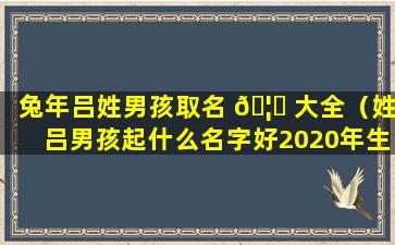 兔年吕姓男孩取名 🦅 大全（姓吕男孩起什么名字好2020年生的）